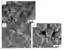 Fig. 01 - LOW VISCOSITY HIGHLY CONCENTRATED SUSPENSIONS