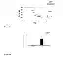 Fig. 02 - Methods for detecting cardiac damage
