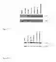 Fig. 05 - Methods for detecting cardiac damage
