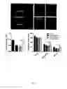Fig. 09 - Compositions and methods for treating multiple sclerosis