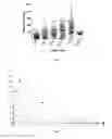 Fig. 02 - Uses of bremelanotide in therapy for female sexual dysfunction