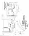 Fig. 02 - AROMATIC-CATIONIC PEPTIDES AND USES OF SAME
