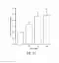 Fig. 30 - AROMATIC-CATIONIC PEPTIDES AND USES OF SAME