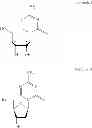 Fig. 02 - Process for preparing stable pharmaceutical compositions of compounds susceptible to hydrolysis