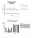 Fig. 35 - ESTROGEN RECEPTOR MODULATORS FOR REDUCING BODY WEIGHT