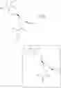 Fig. 131 - Heterocyclic compounds and methods of their use