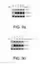 Fig. 06 - Methods for treating vascular leak syndrome