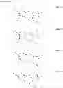 Fig. 36 - Pyrazole derivative