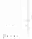 Fig. 13 - Oxazolidin-2-one compounds and uses thereof