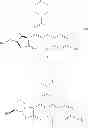 Fig. 141 - Oxazolidin-2-one compounds and uses thereof