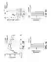 Fig. 08 - Methods of preventing and treating diabetes by inhibiting serotonin synthesis