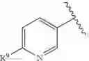 Fig. 08 - Pyridine derivatives
