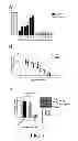 Fig. 02 - METHODS AND COMPOSITIONS COMPRISING AKT INHIBITORS AND/OR PHOSPHOLIPASE D INHIBITORS