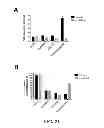 Fig. 22 - METHODS AND COMPOSITIONS COMPRISING AKT INHIBITORS AND/OR PHOSPHOLIPASE D INHIBITORS