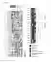 Fig. 04 - MATERIALS AND METHODS FOR TREATING PTEN MUTATED OR DEFICIENT CANCER