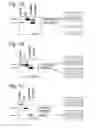 Fig. 02 - MODULATION OF EXON RECOGNITION IN PRE-MRNA BY INTERFERING WITH THE SECONDARY RNA STRUCTURE
