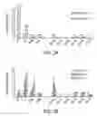 Fig. 03 - BIOMARKERS OF MIR-34 ACTIVITY