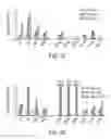 Fig. 04 - BIOMARKERS OF MIR-34 ACTIVITY