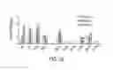 Fig. 05 - BIOMARKERS OF MIR-34 ACTIVITY