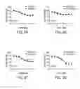 Fig. 07 - BIOMARKERS OF MIR-34 ACTIVITY