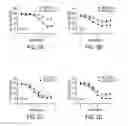Fig. 08 - BIOMARKERS OF MIR-34 ACTIVITY