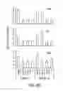 Fig. 12 - BIOMARKERS OF MIR-34 ACTIVITY