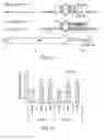 Fig. 15 - BIOMARKERS OF MIR-34 ACTIVITY