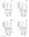 Fig. 19 - BIOMARKERS OF MIR-34 ACTIVITY