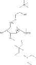 Fig. 23 - Glycogen-based cationic polymers