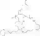 Fig. 35 - Glycogen-based cationic polymers