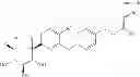Fig. 08 - SGLT inhibitors