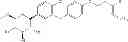 Fig. 40 - SGLT inhibitors