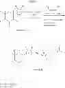 Fig. 45 - SGLT inhibitors
