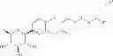 Fig. 63 - SGLT inhibitors