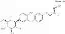 Fig. 70 - SGLT inhibitors
