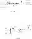 Fig. 74 - SGLT inhibitors