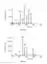Fig. 07 - Small molecule xanthine oxidase inhibitors and methods of use