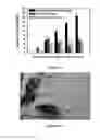 Fig. 11 - Small molecule xanthine oxidase inhibitors and methods of use
