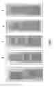 Fig. 02 - Heat stabilized soft expandable sealant compositions