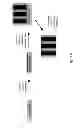 Fig. 08 - Neutral layer polymers, methods of manufacture thereof and articles comprising the same