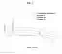 Fig. 08 - Polylactic acid stereocomplex resin composition having improved crystallization rate and method for molding the same