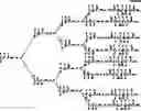 Fig. 56 - Dendritic polymer, dendritic polymer monomer, and hyperbranched copolymer