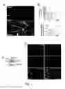 Fig. 08 - NEUROLOGICAL THERAPIES