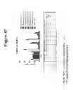 Fig. 47 - Growth differentiation factor 15 (GDF-15) polypeptides