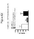 Fig. 64 - Growth differentiation factor 15 (GDF-15) polypeptides