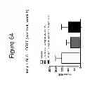 Fig. 65 - Growth differentiation factor 15 (GDF-15) polypeptides
