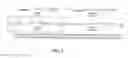 Fig. 03 - Immobilized proteins and methods and uses thereof