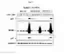 Fig. 03 - Spiro-oxindole MDM2 antagonists