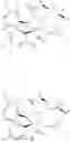 Fig. 100 - Spiro-oxindole MDM2 antagonists