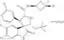Fig. 178 - Spiro-oxindole MDM2 antagonists